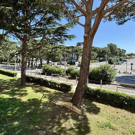 Argelès-sur-mer, 1 Pièce, 4 Personnes - Fr-1-225-602 *
